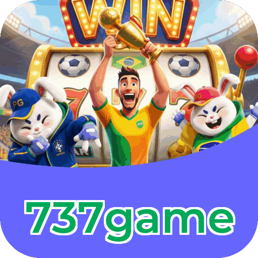 Interface 737game